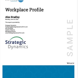 Everything disc workplace profile
